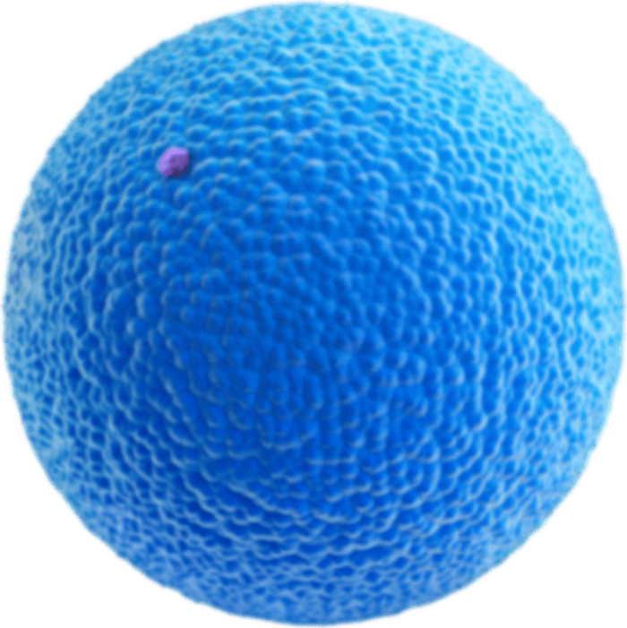 A cell to be target by nanosorter