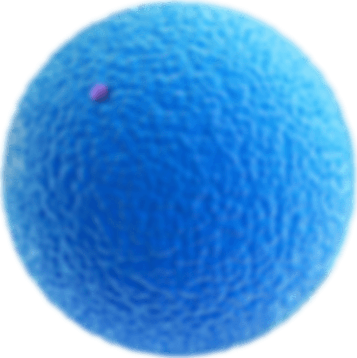 A cell to be target by nanosorter