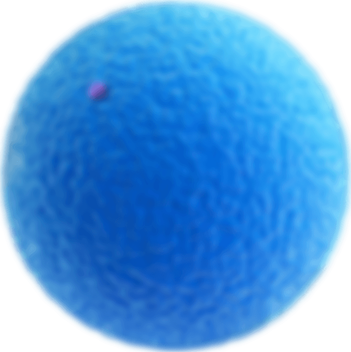 A cell to be target by nanosorter