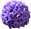 A cell on a cell