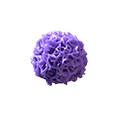 A cell to be target by nanosorter