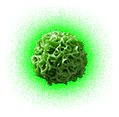 A targeted cell