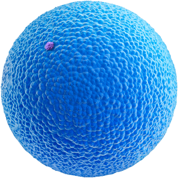 A cell to be target by nanosorter