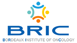 logo bric