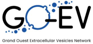 GO Evs logo