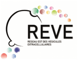 REVE logo